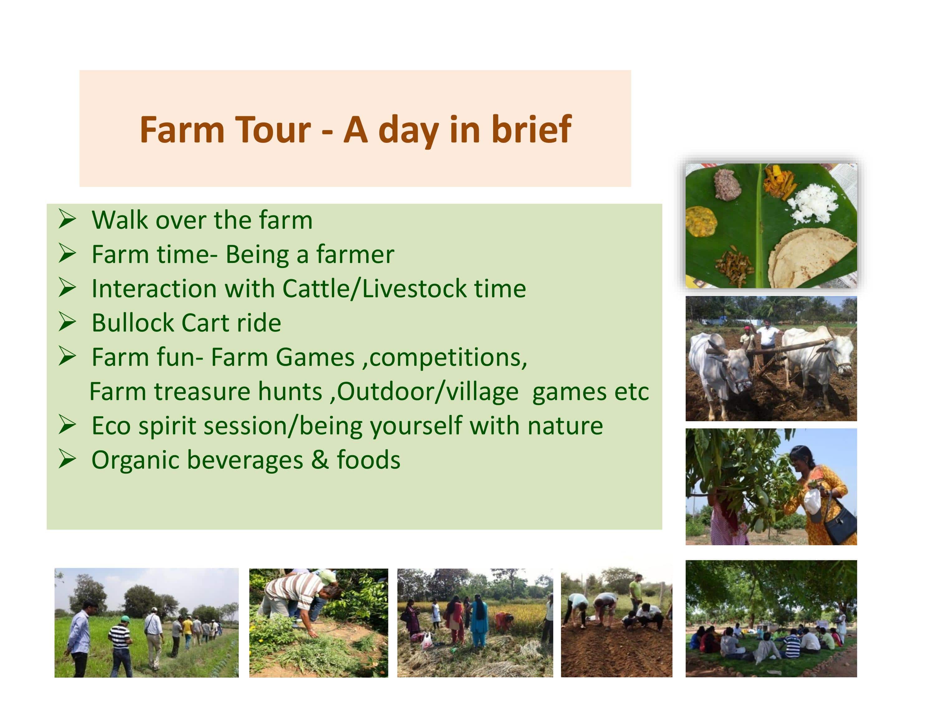 FARM TOUR B CONCEPT (1)-24-min